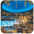 Exotic Jungle Oasis at the Rainforest Cafe