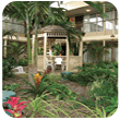 The Tropical Garden setting of the Courtyard
